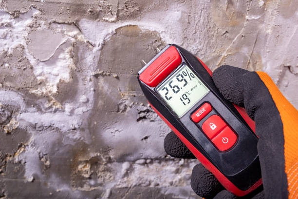 Best Mold Testing  in , TX