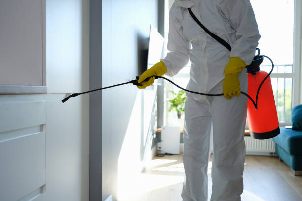 Best Office Mold Removal Services  in , TX