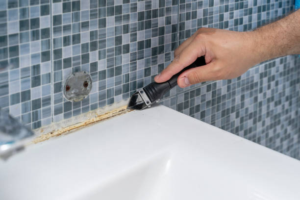 Best Emergency Mold Removal  in , TX